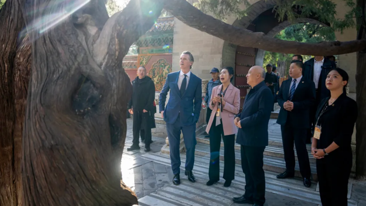 Newsom schaut während einer China-Reise auf einen Baum