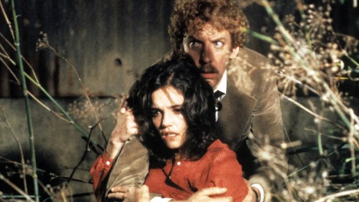 Matthew und Elizabeth in "Invasion der Body Snatcher" (1978).