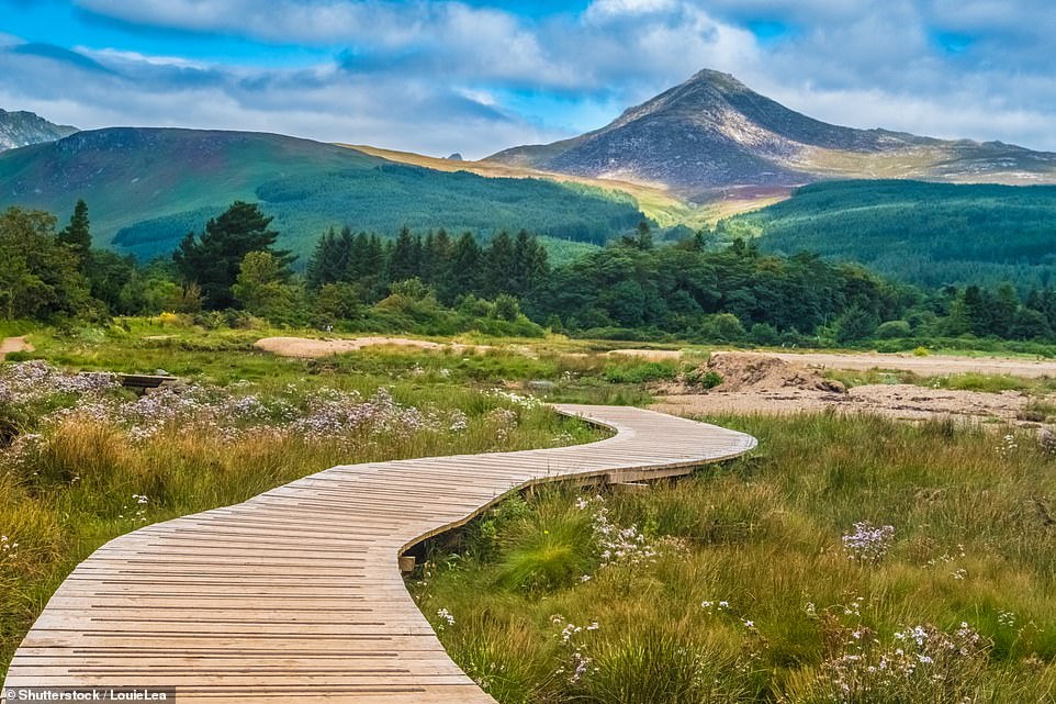 North Arran wurde zum schönsten Naturgebiet Schottlands gekürt.  Oben ist ein Blick auf den höchsten Gipfel der Region, Goat Fell, zu sehen
