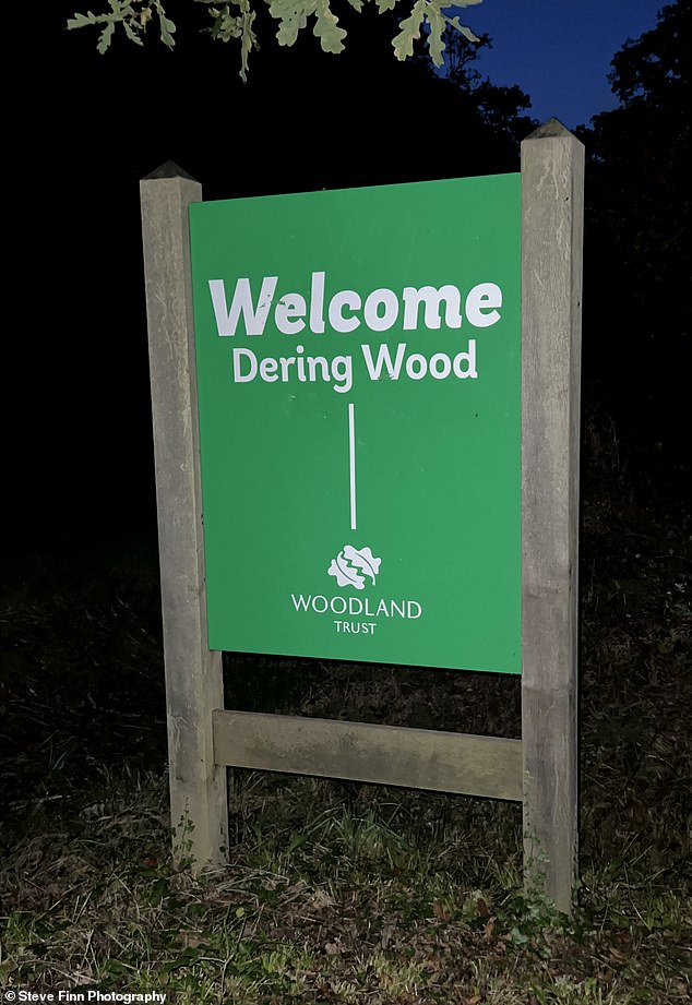 Dering Wood hat den Namen „The Screaming Woods“ angenommen, seit er vor fast 20 Jahren in einer Folge von Top Gear auftauchte