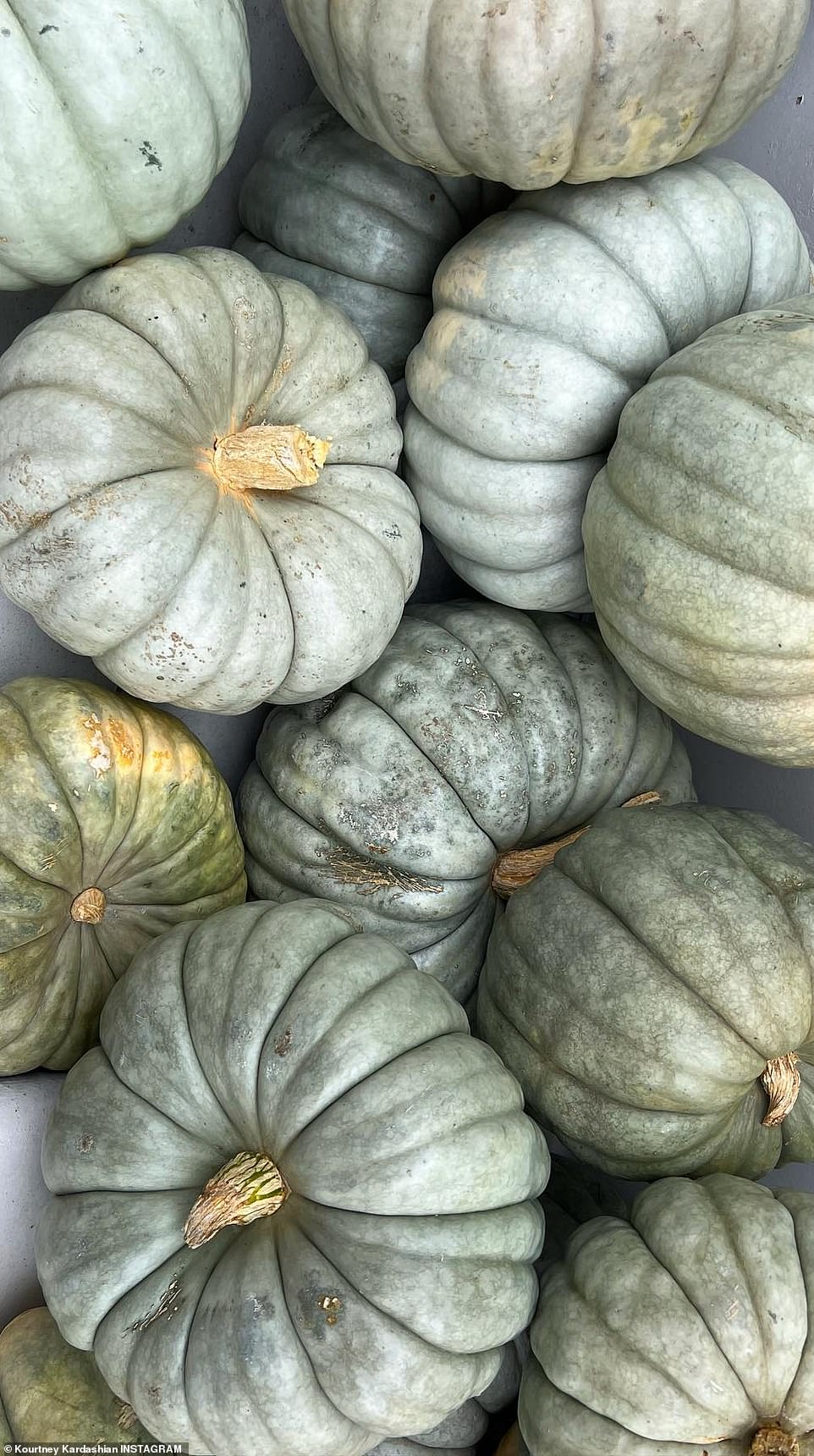 Kourtney revealed her green pumpkins