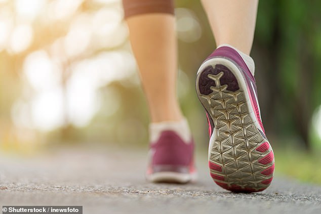 Bei flotten Spaziergängern – also solchen, die eine Geschwindigkeit von mehr als 6 km/h erreichen – ist die Wahrscheinlichkeit, an Krebs zu sterben oder einen Herzinfarkt zu erleiden, geringer