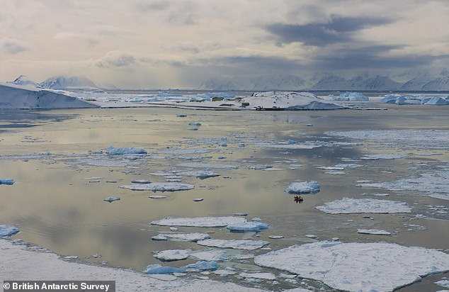 Laut einer neuen Studie haben Menschen möglicherweise die Kontrolle über den westantarktischen Eisschild verloren