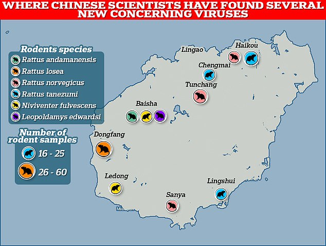 In Laboren in ganz China wurden acht neuartige Viren gefunden, darunter eines, das zur gleichen Familie wie Covid gehört