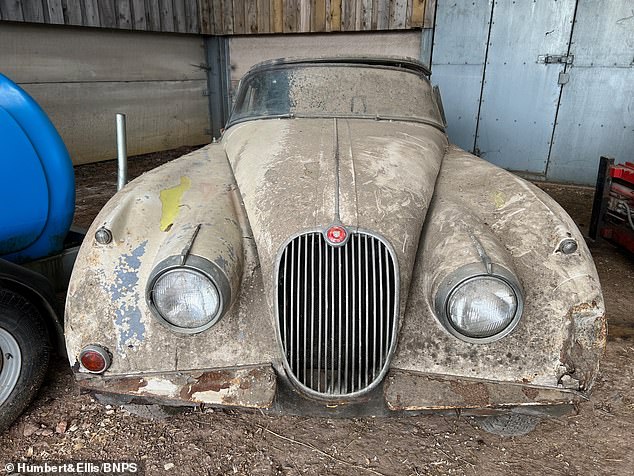 Das Jaguar XK150 Drophead-Coupé von 1958 gehörte einem Landwirt, der es vor etwa 30 Jahren im Rahmen einer Restaurierungsmaßnahme kaufte.  Aber es schmachtete an einem Ende seines Stalls, wo seine Hühner darin schliefen.  Der Eigentümer konnte es nicht bewegen und beschloss, es einzumauern und eine Mauer aus Betonsteinmauern zu errichten, um es zu verbergen