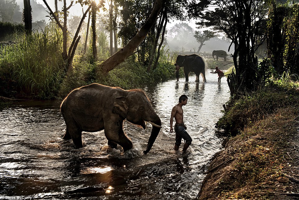 Dieses 2010 aufgenommene Bild zeigt Elefanten und Mahouts (Menschen, die sich um Elefanten kümmern) in einem Rettungszentrum in Chiang Mai, Thailand