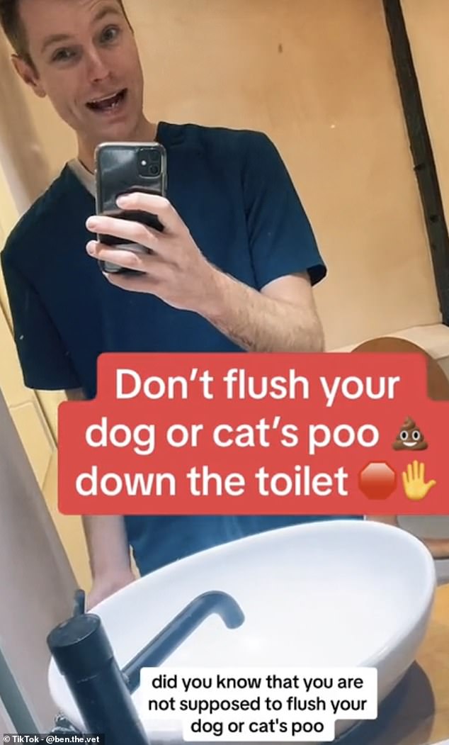 Laut Tierarzt Ben (im Bild) dürfen Sie den Kot Ihrer Katze oder Ihres Hundes nicht in die Toilette spülen.  Er erklärte warum in einem aktuellen Video auf TikTok