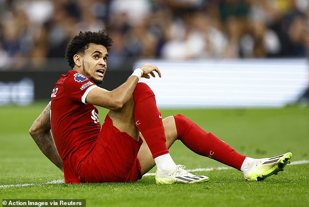Liverpool made a formal request to receive the VAR audio from the decision to disallow Luis Diaz's goal for offside against Tottenham - which was released in public on Tuesday