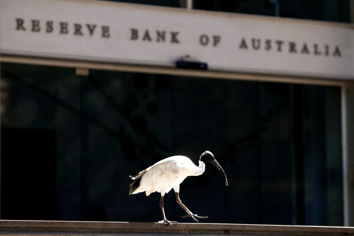 Ein Ibis steht neben dem Hauptsitz der Reserve Bank of Australia