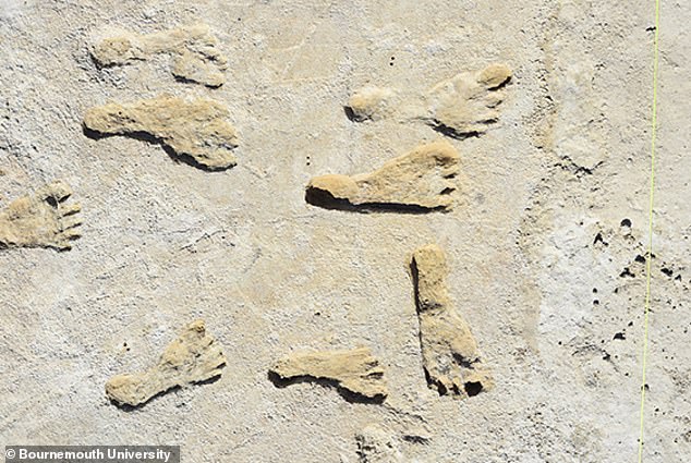 Im White-Sands-Nationalpark in New Mexico gefundene Fußabdrücke stammen aus der Zeit vor 23.000 Jahren und sind damit Tausende von Jahren vor den meisten Schätzungen der erste „eindeutige Beweis“ für Homo Sapiens in der Neuen Welt