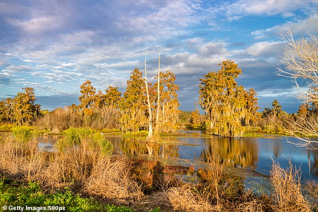 Tom Chesshyre erkundet das „Lake District“ im Polk County in Florida.  „Nur wenige Touristen besuchen die etwa 550 Seen, aus denen dieser Bezirk besteht“, schreibt er