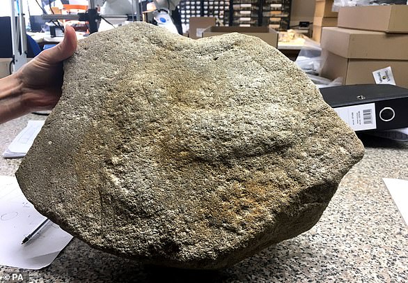 Ein römischer Mühlstein (im Bild), der in der Nähe von Cambridge gefunden wurde, war mit der Gravur eines Penis verziert – ein „Bild von Stärke und Männlichkeit“ – wie Archäologen herausgefunden haben