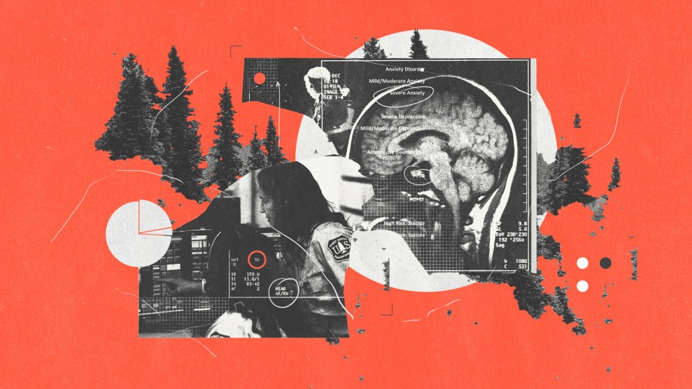 Eine Collage umfasst Kiefern, ein Foto eines Displaters und eine Röntgenaufnahme eines Kopfes