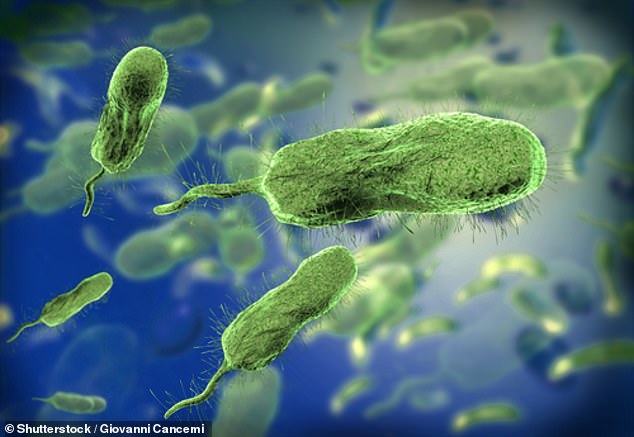Innerhalb weniger Stunden treten Warnzeichen einer Vibrio vulnificus-Infektion auf, wobei die Patienten unter Rötungen und Schwellungen rund um die Infektionsstelle leiden