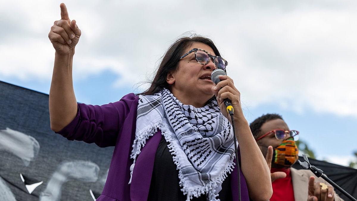 Tlaib wendet sich an die Demonstranten der Jewish Voice