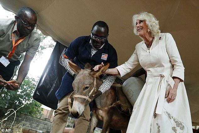 Später besuchte Camilla ein Esel-Schutzgebiet in der Umgebung, das sich für den Schutz von Eseln und die Förderung ihres Wohlergehens einsetzt, im Bezirk Karen in Nairobi