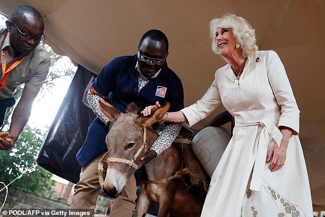 Während des Besuchs im Brooke Donkey Sanctuary hörte Camilla auch, wie Frauen lokale Materialien wie Sisal verwenden, um Geschirre für Esel herzustellen