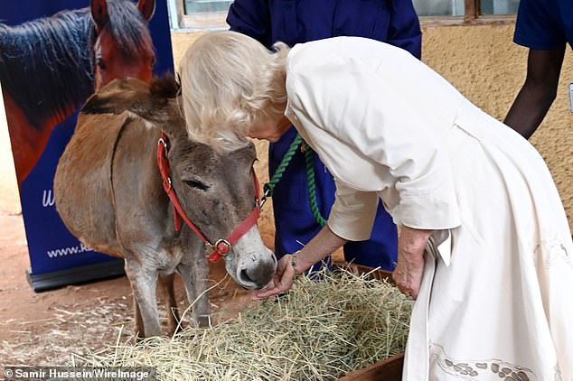 Camilla konnte die Tiere aus der Nähe sehen, nachdem sie erfahren hatte, wie die Wohltätigkeitsorganisation ihr Wohlergehen verbessert