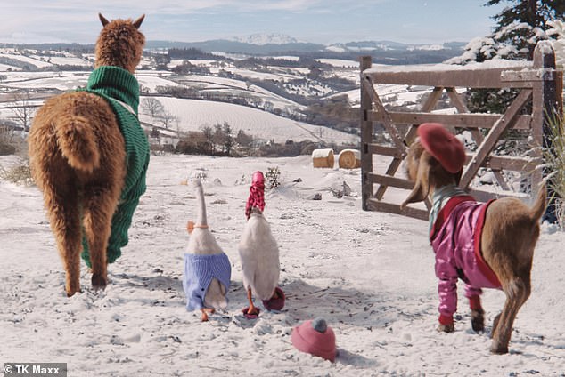 First out the barn doors into the snowy scene is a turtle neck-clad alpaca busking a crossbody bag, swiftly followed by a pair of ducks rocking Harry Styles-inspired pearls, an elegant silk scarf and suave pink bow tie