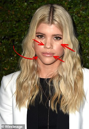 Sofia Richie Grainge, 25, has also had work done to refine her apperance. She is pictured above in 2014