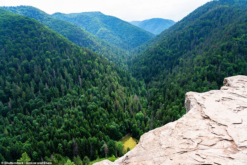 This picture shows the beautiful panorama from the Tomasovsky viewpoint in the Slovak Paradise National Park in Slovakia. A 200m (656ft) high rock shelf, it can be reached via a hike through the park, travel site Slovakation notes. 'On a clear day you can even see the High Tatra Mountains in the distance,' the site adds. Tripadvisor reviewer 'Violetta M' described the vista from the viewpoint as 'breathtaking'
