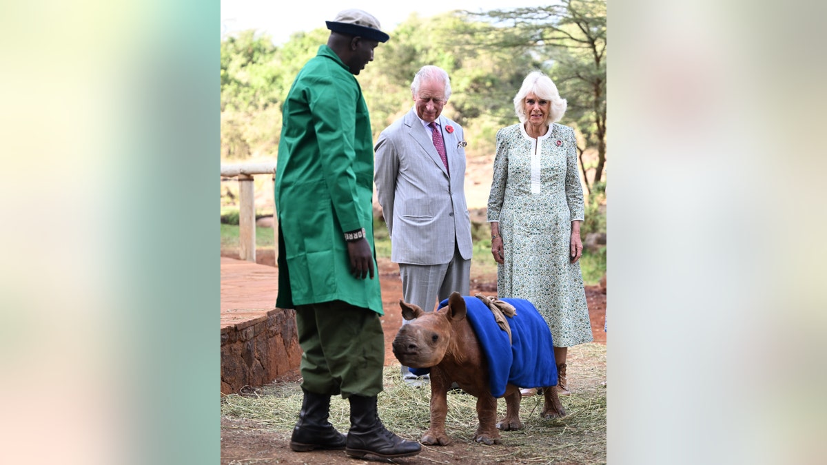 Charles und Camilla mit Baby-Nashorn in Kenia