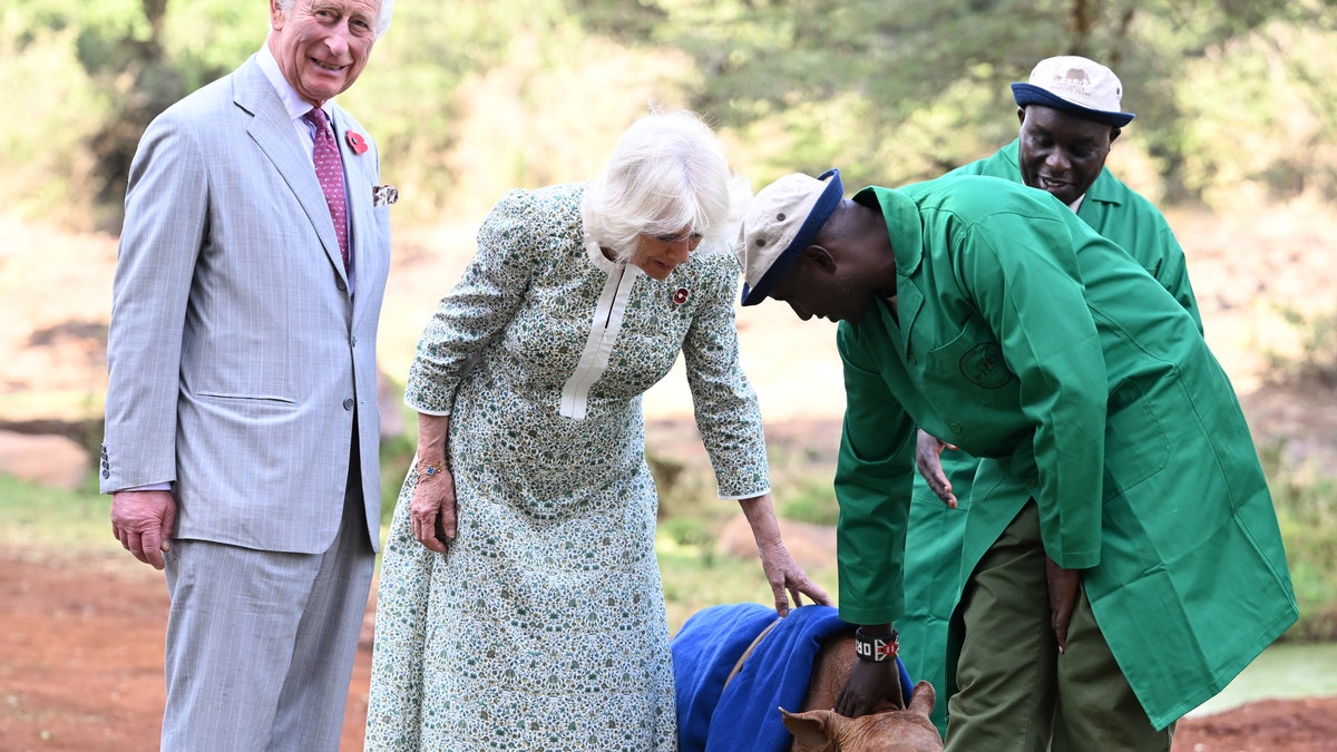 König Charles, Königin Camilla, streichelt ein Nashornbaby in Kenia