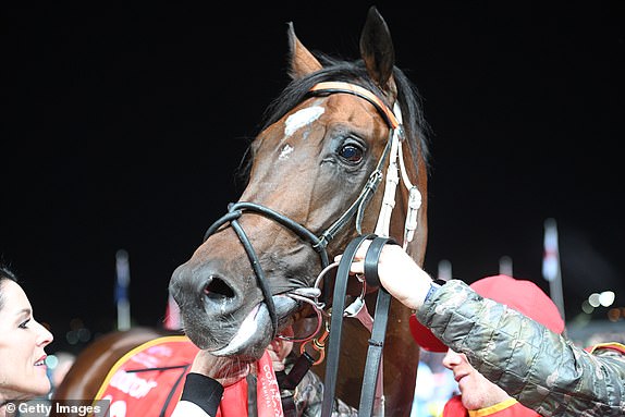MELBOURNE, AUSTRALIA - OCTOBER 27: Cleveland after winning Race 7, the Ladbrokes Moonee Valley Gold Cup, during Melbourne Racing at Moonee Valley Racecourse on October 27, 2023 in Melbourne, Australia. (Photo by Vince Caligiuri/Getty Images)