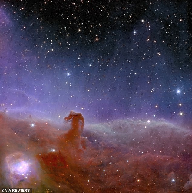 Euklid zeigt uns eine spektakulär detaillierte Ansicht des Pferdekopfnebels im Sternbild Orion