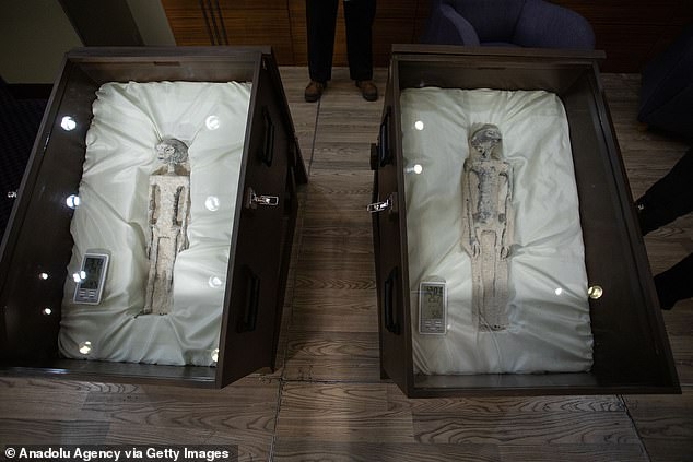 Maussan und einige mexikanische Abgeordnete gerieten im September zum internationalen Spott, als er zwei Kisten mit angeblichen Mumien präsentierte, die in Peru gefunden worden waren