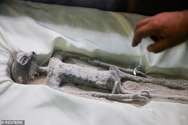 Die Forscher stellten außergewöhnliche Behauptungen auf, dass die Leichen, die in Kisten mit Fenstern präsentiert und angeblich aus Cusco in Peru geborgen wurden, nicht Teil „unserer terrestrischen Evolution“ waren und 30 Prozent ihrer genetischen Zusammensetzung noch „unbekannt“ waren.