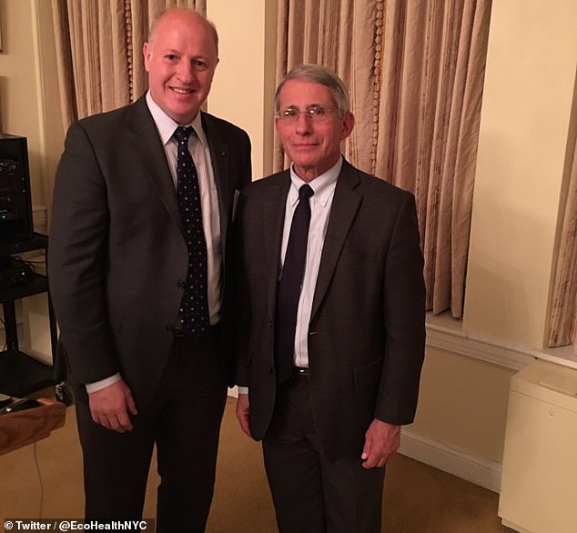 Dr Peter Daszak (pictured left alongside Dr Anthony Fauci) oversees EcoHealth Alliance, which is involved with the development of the Colorado lab. The proposals were approved when Dr Fauci was overseeing the NIAID