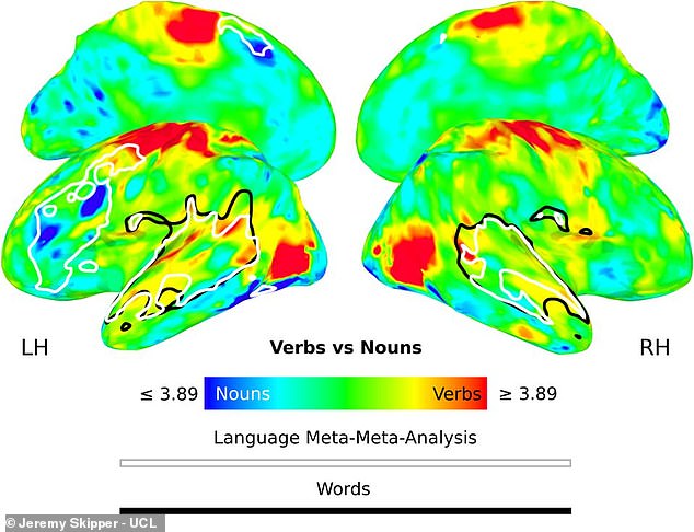 Dr Skipper's brain scans show that nouns (blue) and verbs (red) tend to activate very different regions of the brain than the typical language processing areas (outlined in white)