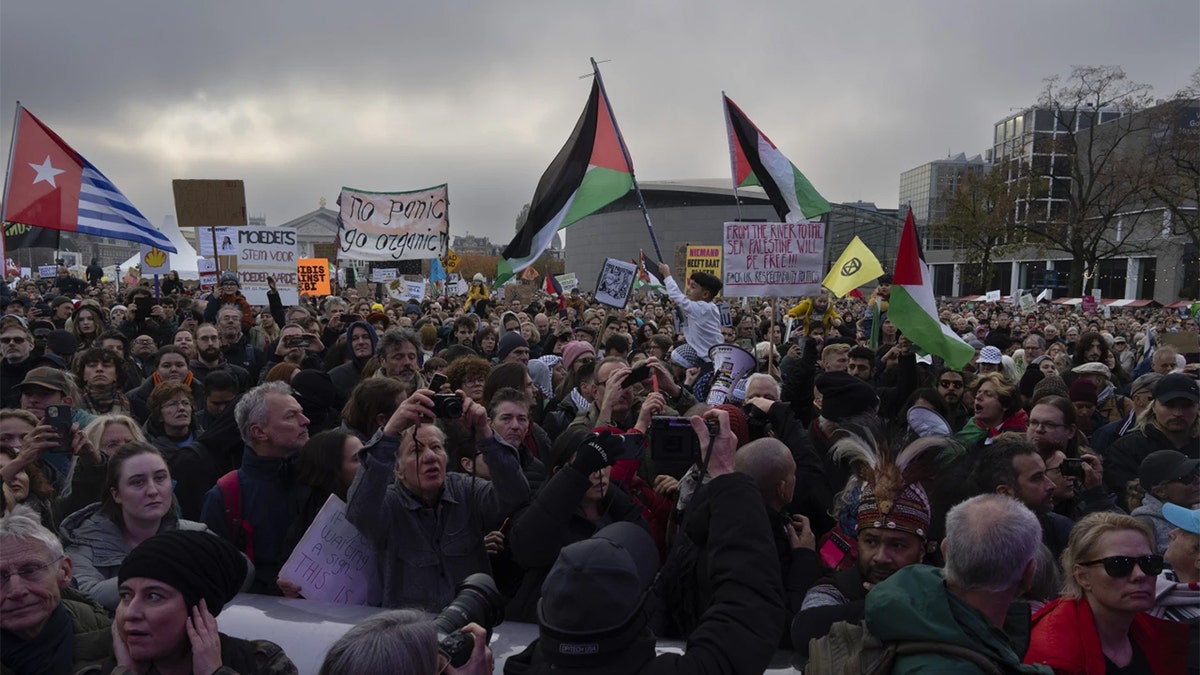 Kleine Gruppe palästinensischer Demonstranten