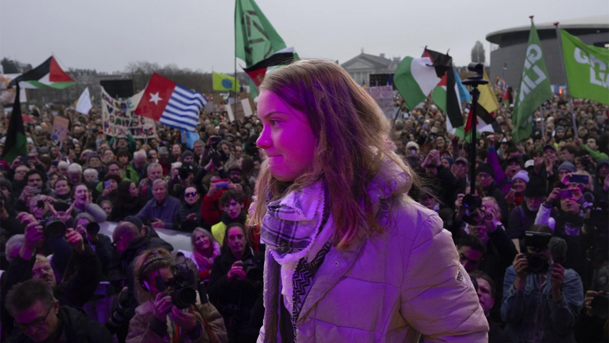 Greta-Thunberg-Demonstranten