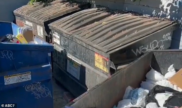 Eine Tasche mit einem kopflosen Oberkörper wurde in einem Seesack verstaut und in diesen Müllcontainer hinter dem Ventura Boulevard und der Rubio Avenue geworfen, in der Nähe eines Familienrestaurants, eines Friseursalons und zweier Banken