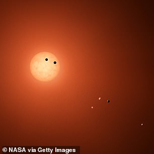TRAPPIST-1 ist ein Stern mit mehreren Planeten in seiner bewohnbaren Zone, einem dicht gepackten Planetensystem, was ihn zu einem guten Kandidaten für die Lieferung präbiotischer Materialien durch Kometen macht