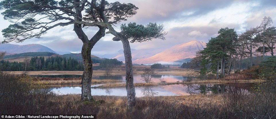 This beautiful landscape picture, taken on the shoreline of Loch Tulla in Scotland, earned Adam Gibbs third place in the Photographer of the Year ranking