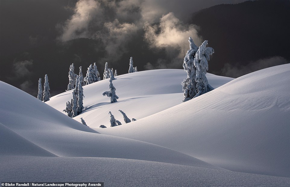 Behold. This is an image that helped Blake Randall, from Vancouver, scoop the title of Photographer of the Year. Blake's entries were taken in his 'beloved home province' of British Columbia. He said on Instagram: 'I am super happy (and very surprised!) to announce that I won the Natural Landscape Photography photographer of the year award. Since its inception, the NLPA awards have set the gold standard for landscape photography. Preserving the authentic experience of capturing our planet's unaltered natural beauty in contrast to the growing popularity of AI and computer-generated imagery. The contest's rules allow for very minimal photoshop and they verify all the files as well as award novel and creative compositions'