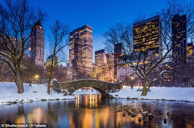 Tripadvisor enthüllt New York (im Bild) als beliebtes internationales Reiseziel für Briten im Winter – es belegt den dritten Platz auf der Liste