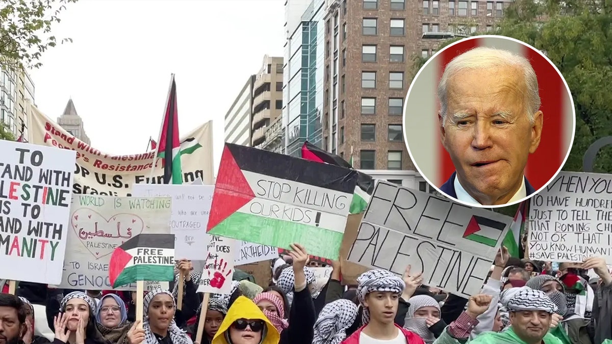 Pro-palästinensische Demonstranten und Präsident Biden