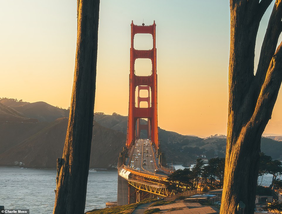Ein Foto von Charlie von der Golden Gate Bridge.  Charlie sagte, dass es ihm nie langweilig werden könnte, die Stadt zu fotografieren