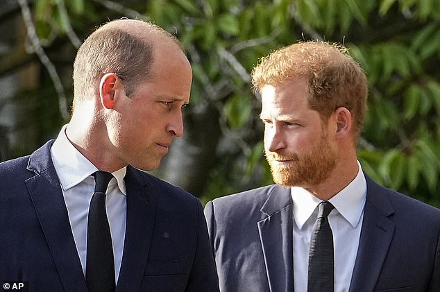 Prince Harry's decision to use footage of the interview in his Netflix docuseries came despite both brothers previously slamming the BBC over the interview