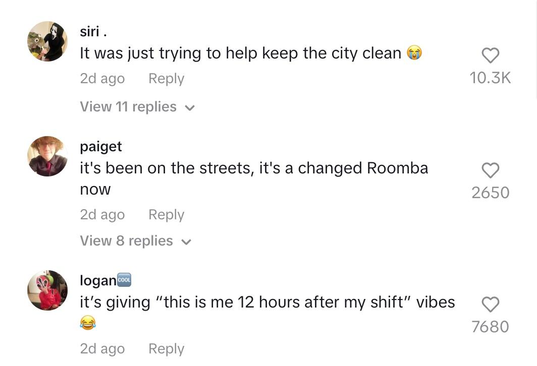 Tiktok-Kommentar Roomba geht nach draußen