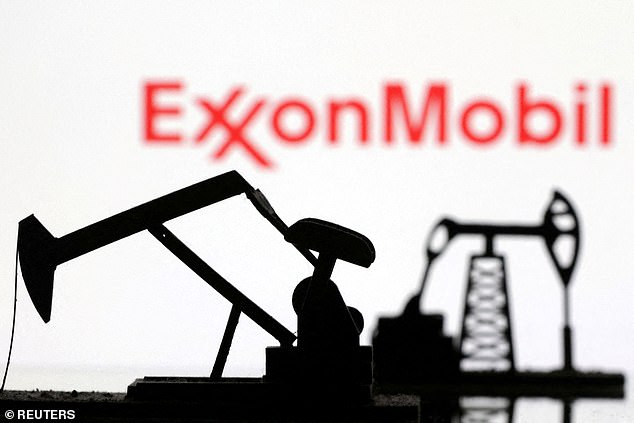 Der Ölriese Exxon Mobil hat das Gebiet als „die vielversprechendste und am wenigsten erforschte Region für Öl“ beschrieben.