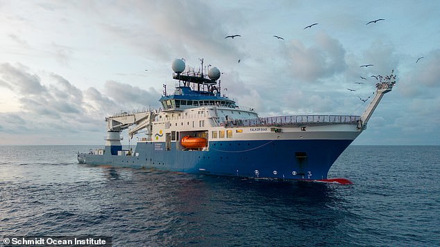 Seit 2013 hat das Schmidt Ocean Institute 555.9871 Quadratmeilen (44 Millionen Quadratkilometer) des Meeresbodens kartiert und dabei mehr als 20 Unterwassermerkmale entdeckt.  Obwohl das Forschungsschiff Falkor (im Bild) erst im März vom Stapel lief, war es für neun Entdeckungen verantwortlich