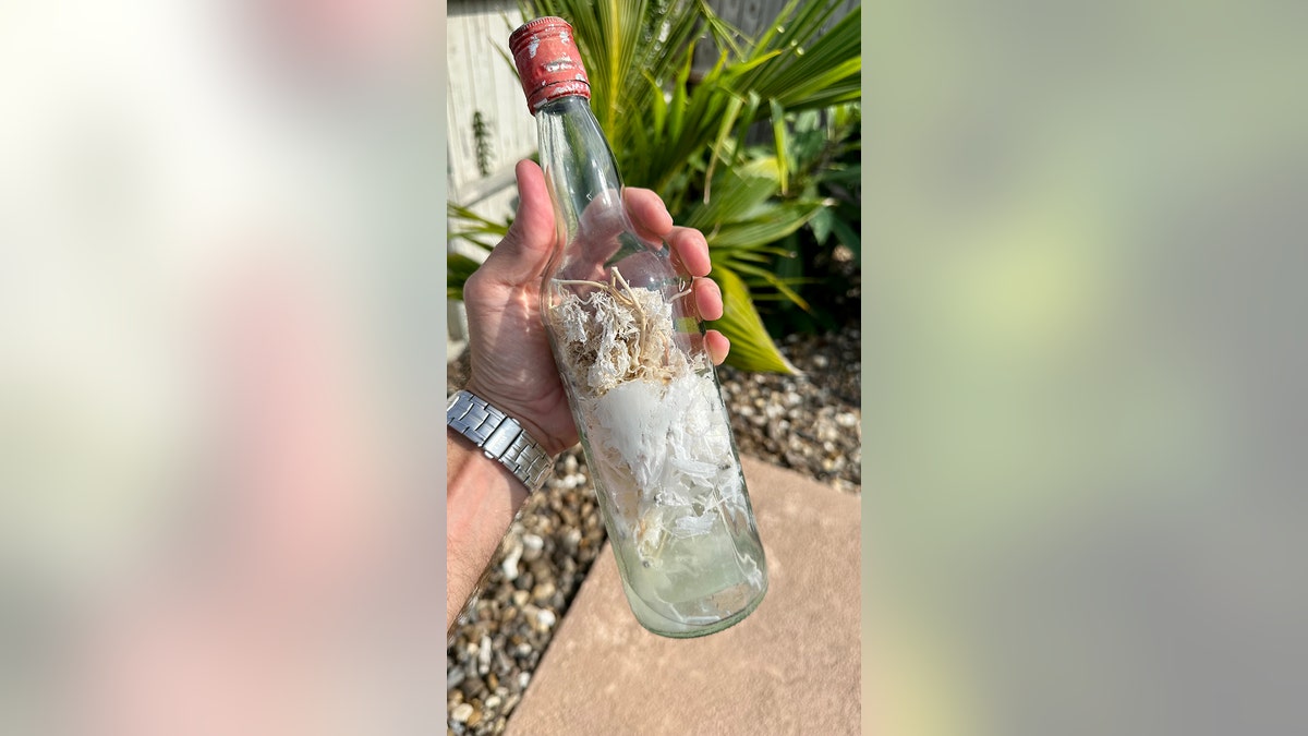Entlang des Golfs von Mexiko gefundene Hexenflasche