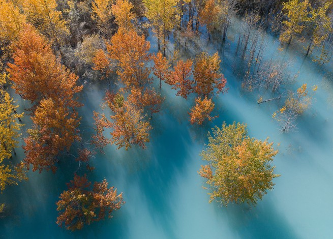 Herbstbäume in den kanadischen Rocky Mountains