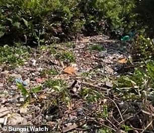 Kelly Bencheghib, Mitbegründerin von Sungai Watch, verriet gegenüber MailOnline Travel, dass durch die Aufräumarbeiten, die im Zeitraffer zu sehen sind, 7.682 kg (7,6 Tonnen) anorganischer Abfall aus den Wasserstraßen entfernt wurden