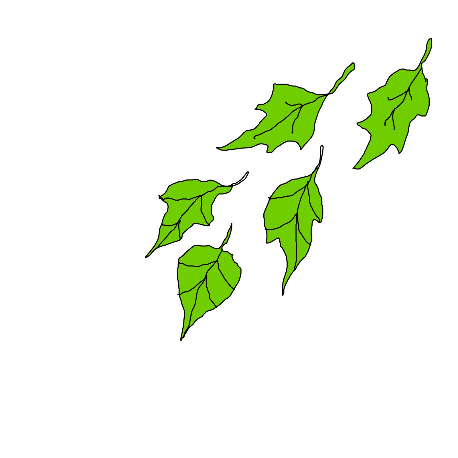 Blätter.
